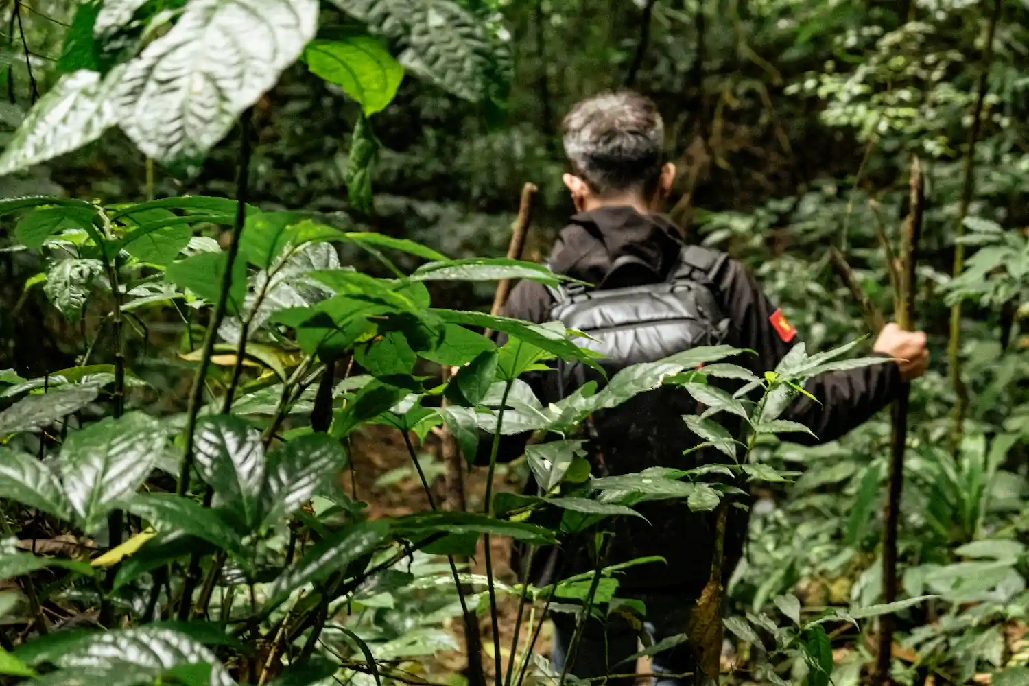 a man walking through a forest-day 2-3-Day Private Tour – 4x4 flipside vietnam