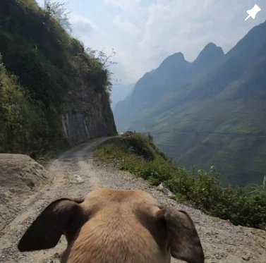dog ha giang loop flipside vn contact us